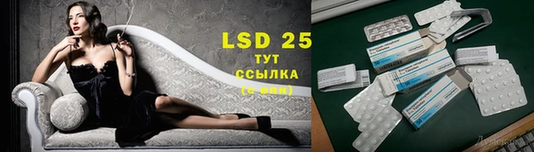 ГАЛЛЮЦИНОГЕННЫЕ ГРИБЫ Белоозёрский