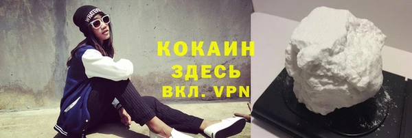 тгк Бородино