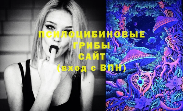 марки lsd Бугульма